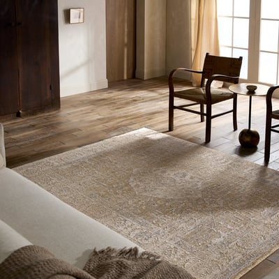 Vekhea Aslan Area Rug