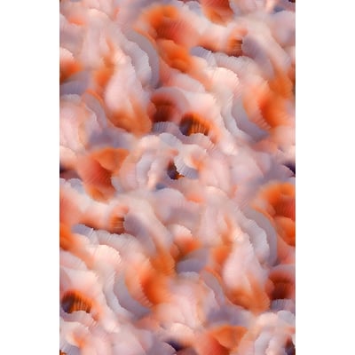Green House Flitter Flutter Wool Printed Area Rug
