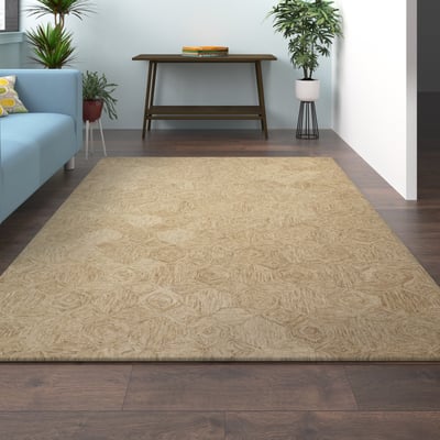 Aaron Eva Wool Hand-Tufted Area Rug