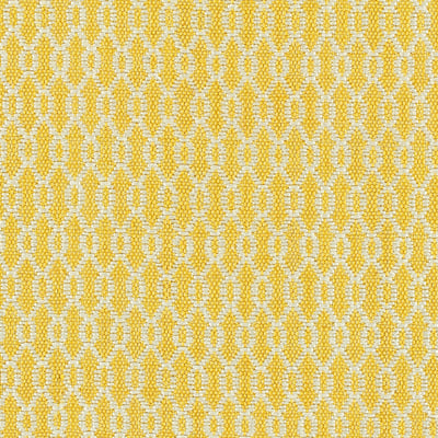 Home and Porch Ft. Frederica Outdoor Area Rug