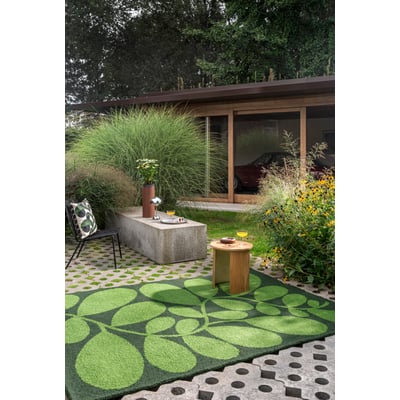 Sycamore Hand-Tufted Outdoor Area Rug