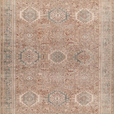 Momeni Ariana ARI-8 Area Rugs | Vintage / Overdyed Rectangular