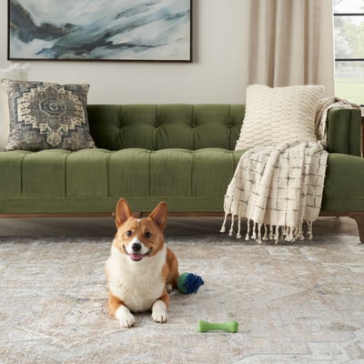 Nourison Astra Washables ASW-12 Traditional / Oriental Area Rugs