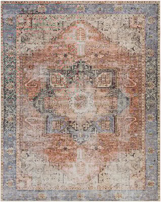 Livabliss Amelie AML-2309 Vintage / Overdyed Area Rugs | Rugs Direct