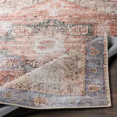 Livabliss Amelie AML-2309 Vintage / Overdyed Area Rugs | Rugs Direct