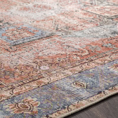 Livabliss Amelie AML-2309 Vintage / Overdyed Area Rugs | Rugs Direct
