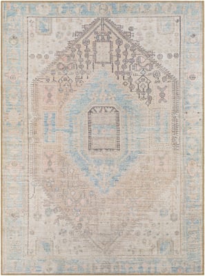 Livabliss Alanya Printed 29347 Orange Vintage Area Rugs | Rugs Direct