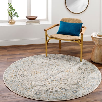 Livabliss Dresden 32565 Traditional / Oriental Area Rugs | Rugs Direct