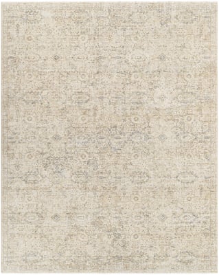 Surya Once Upon a Time 496851 Vintage Overdyed Area Rugs