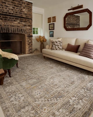 Chris Loves Julia x Loloi Ida IDA-01 Vintage / Overdyed Area Rugs