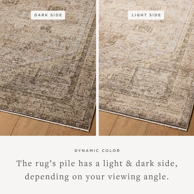 Loloi Priscilla PRL-07 Traditional / Oriental Area Rugs | Rugs Direct