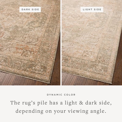 ★美品★良品★デビッド・ローマン★ラジアル★性能良良カーボン★108g★ Chris Loves Julia x Loloi Palma PLM-08 Traditional / Oriental Area