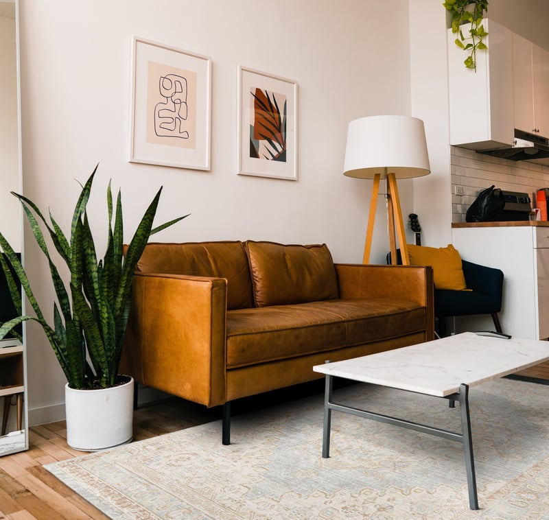 Clean Lines & Color - Brown Living Room DesignIdeas