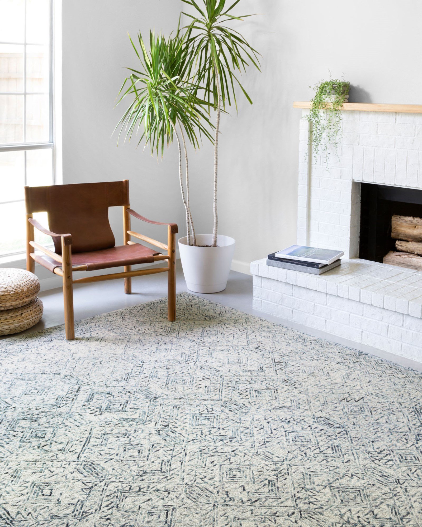 Amazon.com: Loloi Rifle Paper Co. Wildwood Collection WWLD