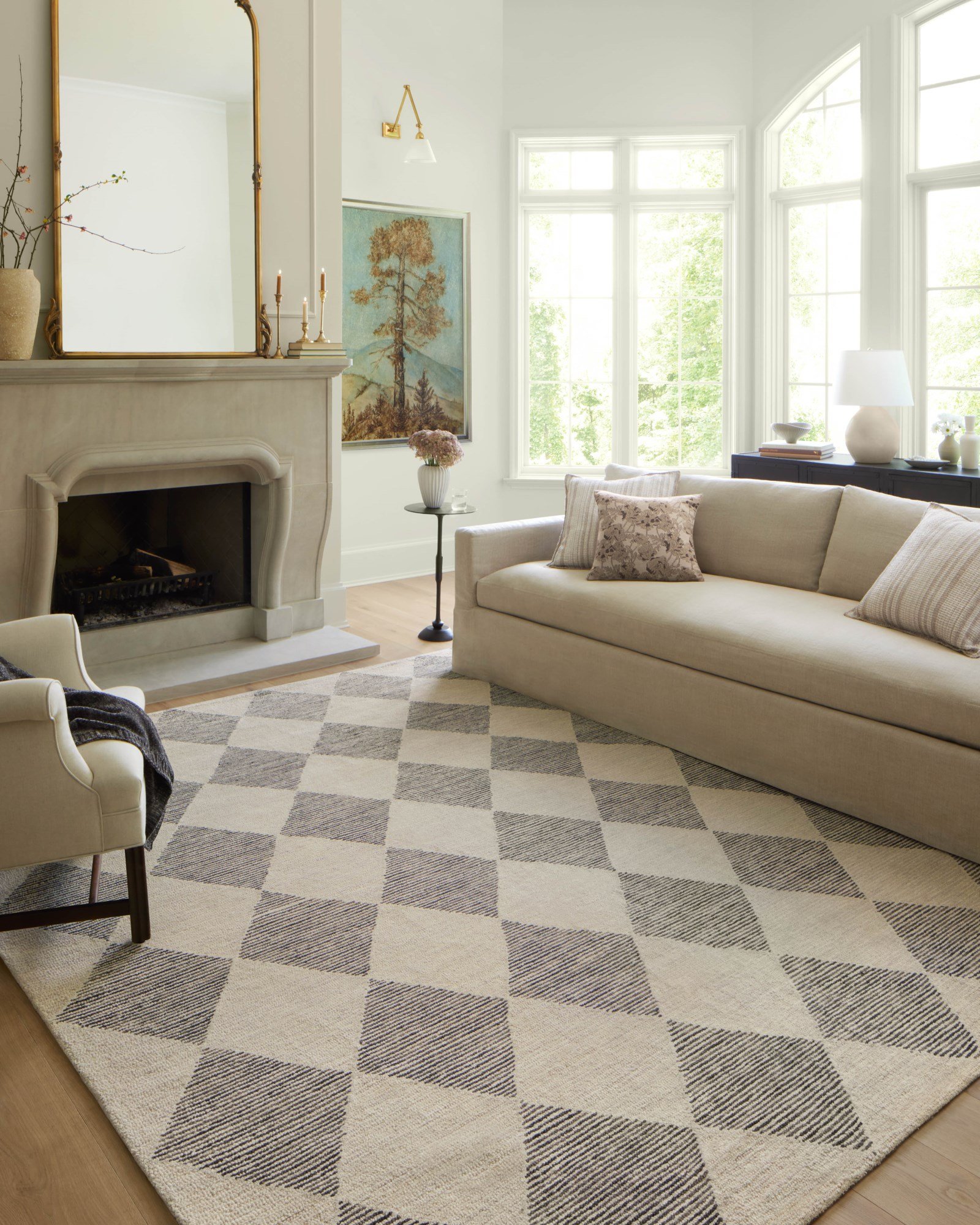 Living Room Area Rug
