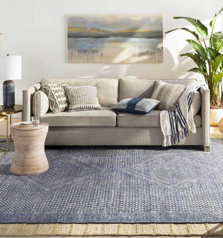 Shop Rugs By Size Color And Style Rugs Direct