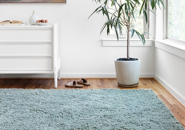 https://image1.rugs-direct.com/rug_gallery/cms2/Howtocleanshagrugs.jpg
