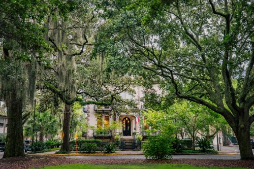 Savannah  - Top Cities for Design Inspiration