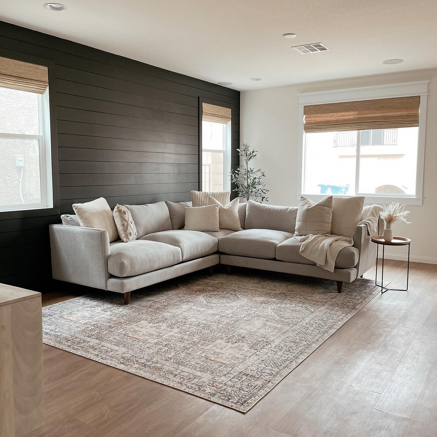 Single Sectional - Apartment Living Room Decor Ideas