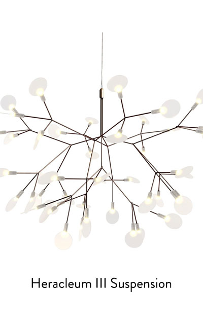 Heracleum III Suspension